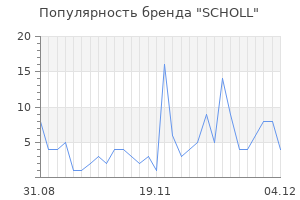 Популярность бренда scholl