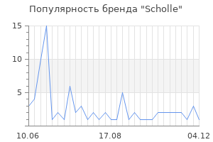 Популярность бренда scholle