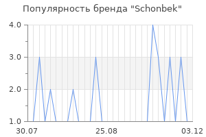 Популярность бренда schonbek
