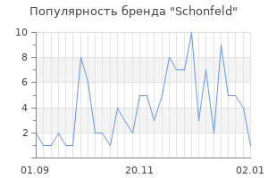 Популярность бренда schonfeld