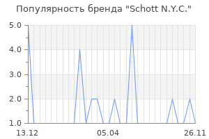 Популярность бренда schott n y c