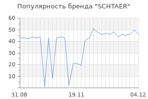 Популярность бренда SCHTAER