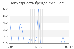 Популярность бренда schuller