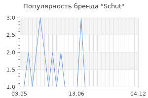 Популярность бренда schut