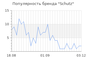 Популярность бренда schutz