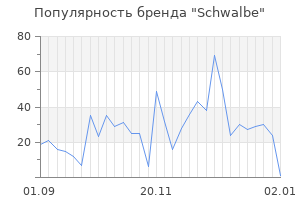 Популярность бренда schwalbe