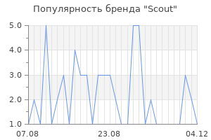 Популярность бренда scout