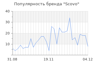 Популярность бренда scovo