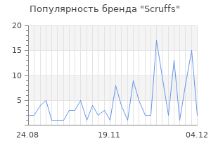 Популярность бренда scruffs