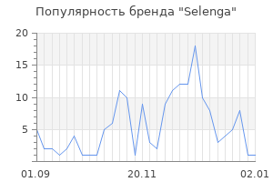 Популярность бренда selenga
