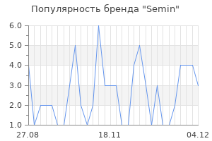 Популярность бренда semin