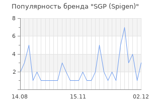 Популярность бренда sgp spigen