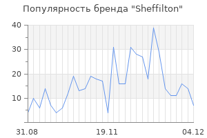 Популярность бренда sheffilton