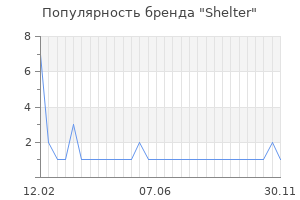 Популярность бренда shelter