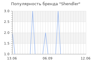 Популярность бренда shendler