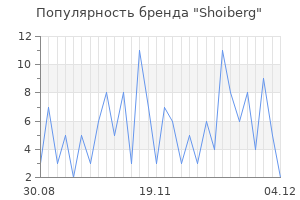 Популярность бренда shoiberg