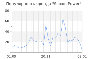 Популярность бренда silicon power