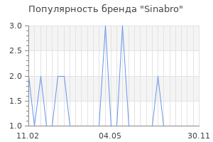 Популярность бренда sinabro