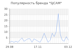 Популярность бренда sjcam