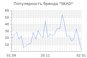 Популярность бренда skad