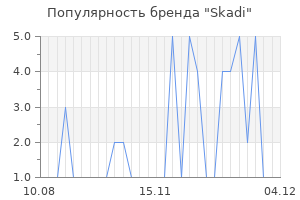 Популярность бренда skadi