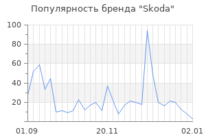 Популярность бренда skoda