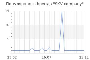 Популярность бренда skv company