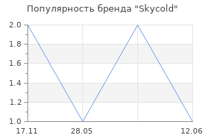 Популярность бренда Skycold