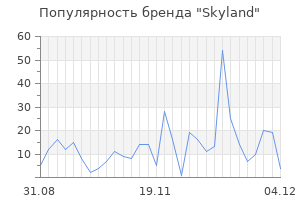 Популярность бренда skyland