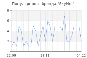 Популярность бренда skynet