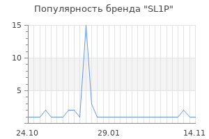 Популярность бренда sl1p