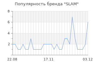 Популярность бренда slam