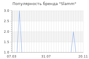 Популярность бренда slamm