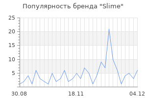 Популярность бренда slime