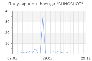 Популярность бренда SLINGSHOT