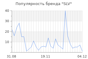 Популярность бренда slv
