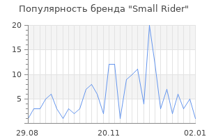Популярность бренда small rider