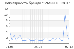 Популярность бренда snapper rock