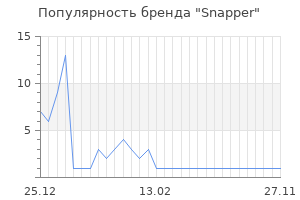 Популярность бренда snapper