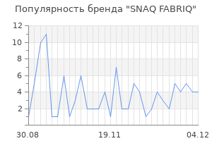 Популярность бренда SNAQ FABRIQ
