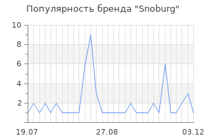 Популярность бренда Snoburg