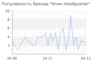 Популярность бренда snow headquarter