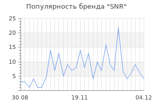 Популярность бренда snr
