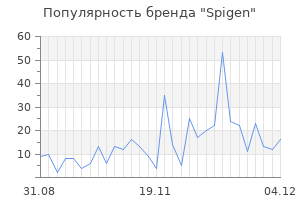 Популярность бренда spigen