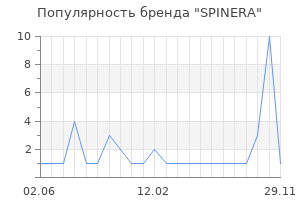 Популярность бренда SPINERA
