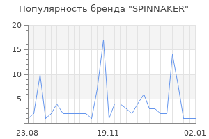 Популярность бренда spinnaker
