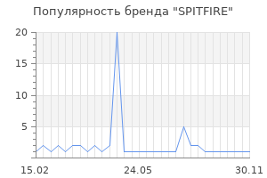 Популярность бренда spitfire