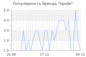 Популярность бренда spode