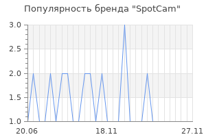Популярность бренда spotcam