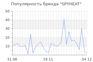 Популярность бренда spyheat